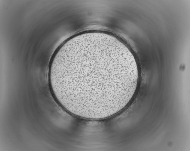 X0000096131322200802011139