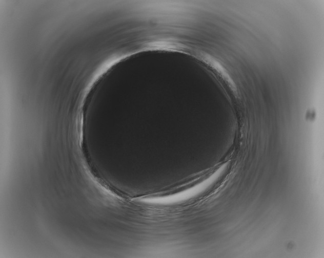 X0000096131323200802011139