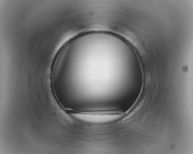 X0000096131325200802011139