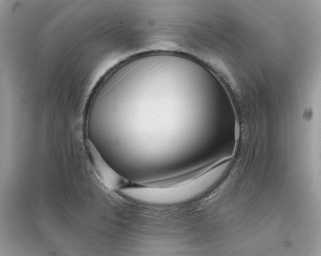 X0000096131326200802011139