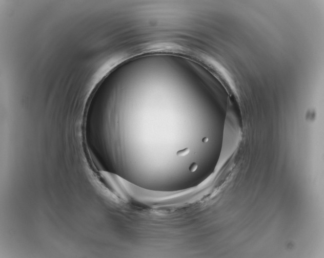 X0000096131330200802011139