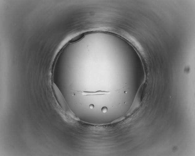 X0000096131332200802011139