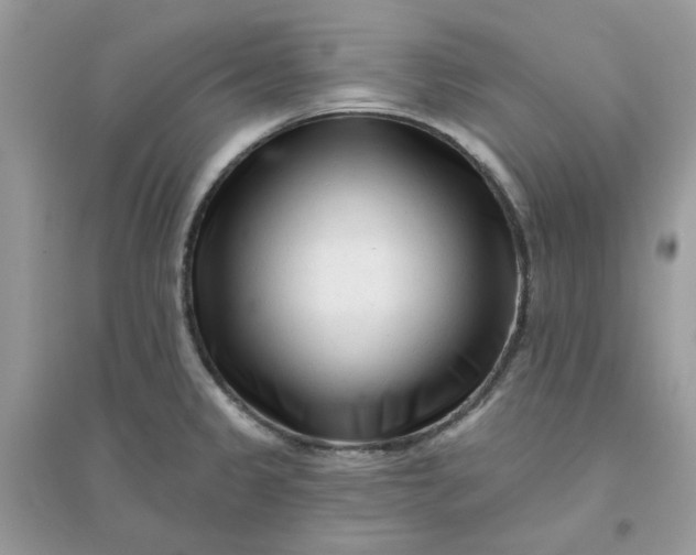 X0000096131333200802011139