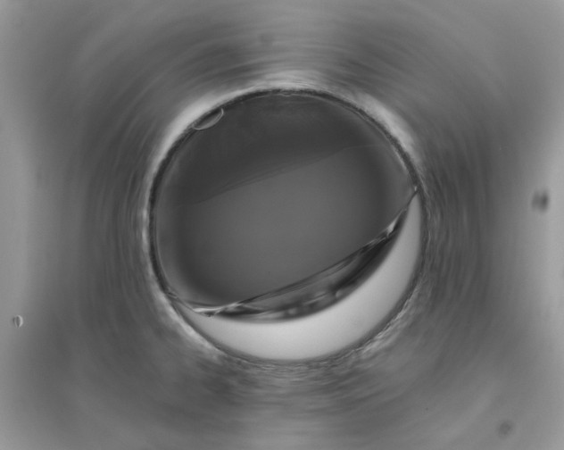 X0000096131334200802011139
