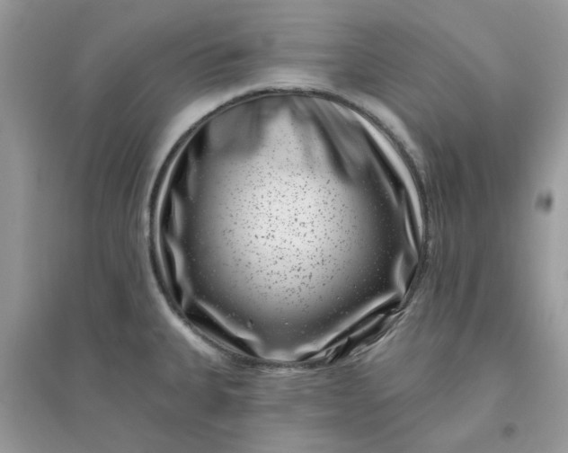 X0000096131335200802011139