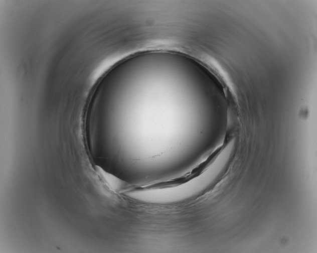 X0000096131336200802011139