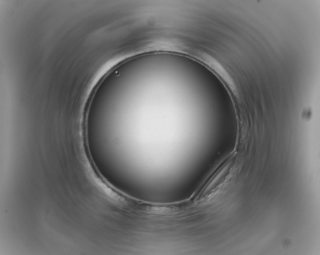 X0000096131339200802011139