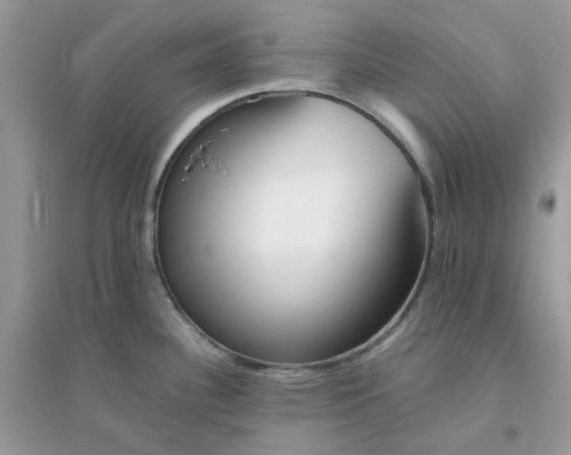 X0000096131340200802011139