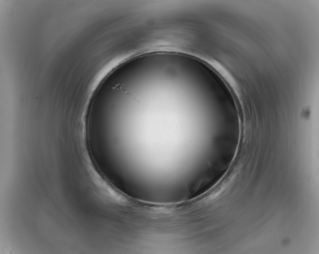 X0000096131341200802011139