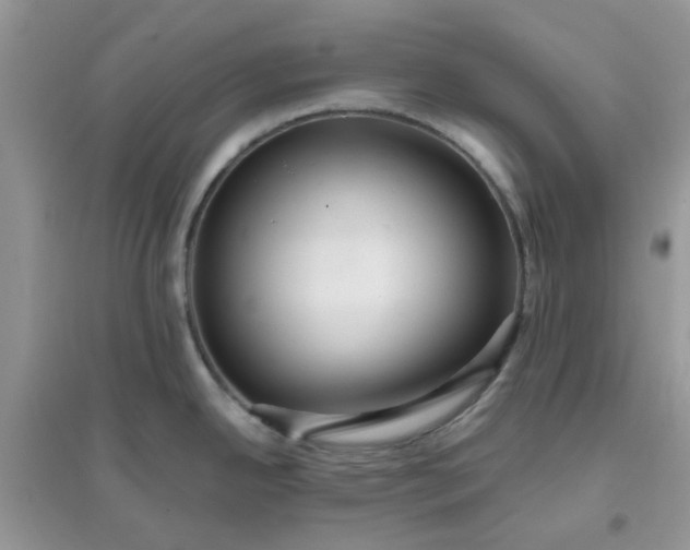 X0000096131342200802011139