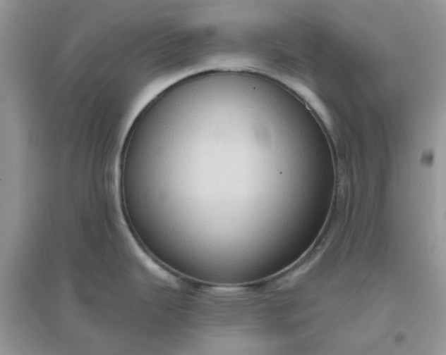 X0000096131343200802011139