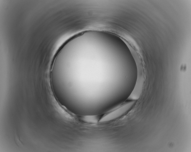 X0000096131344200802011139