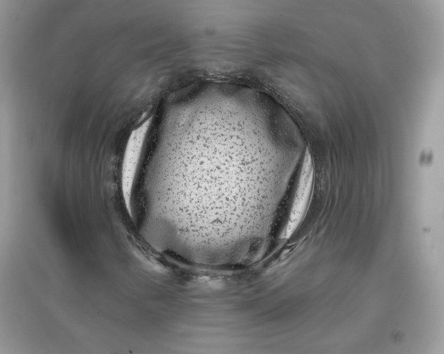 X0000096131346200802011138