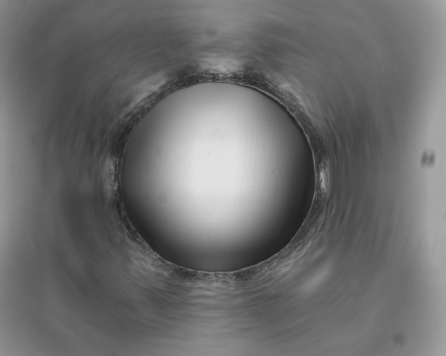 X0000096131347200802011138