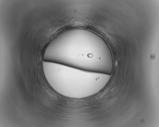 X0000096131348200802011138