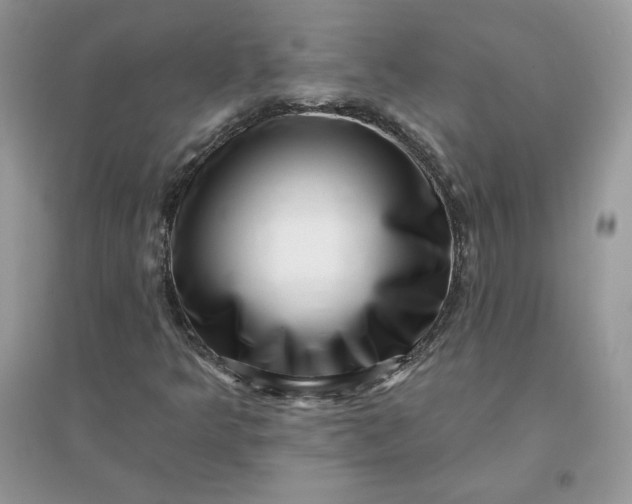 X0000096131349200802011138