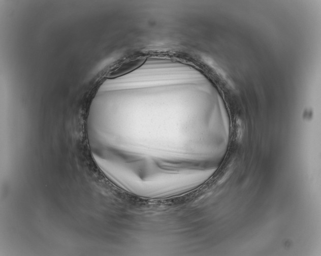 X0000096131350200802011138
