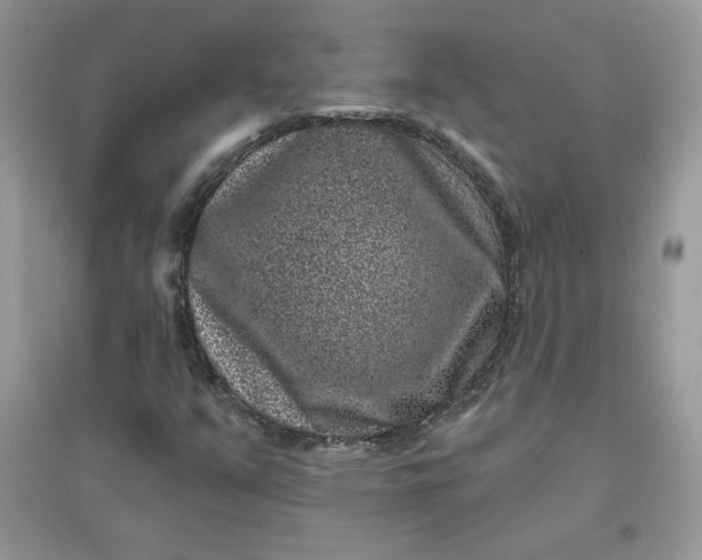 X0000096131351200802011138
