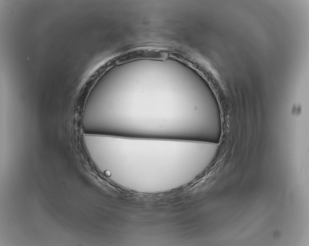 X0000096131352200802011138
