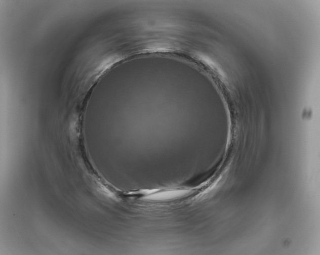 X0000096131353200802011138