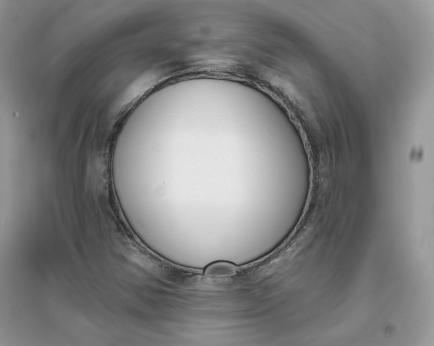 X0000096131354200802011138