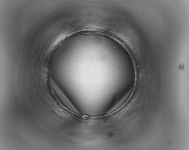 X0000096131355200802011138