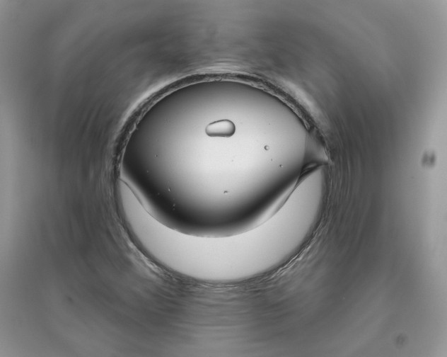 X0000096131356200802011138