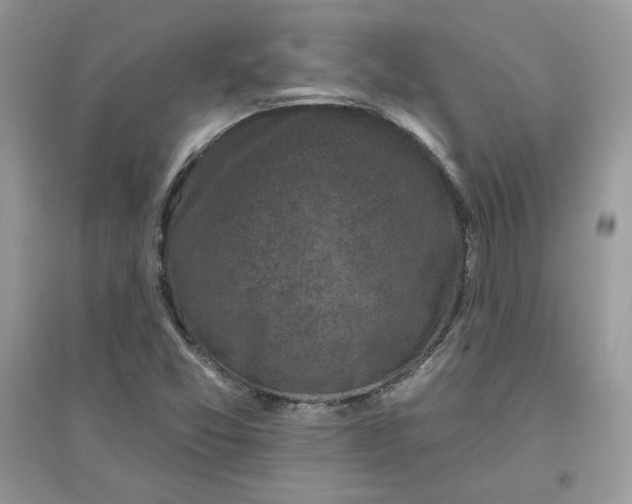 X0000096131357200802011138
