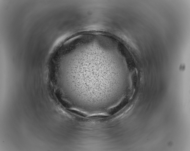 X0000096131358200802011138