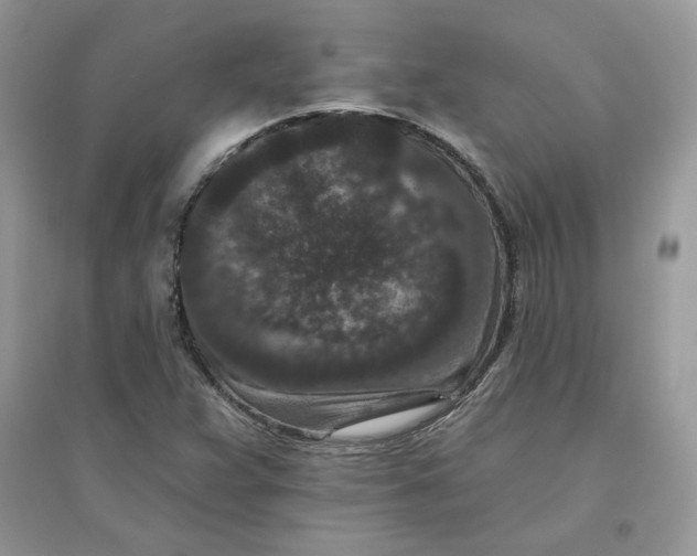 X0000096131359200802011138