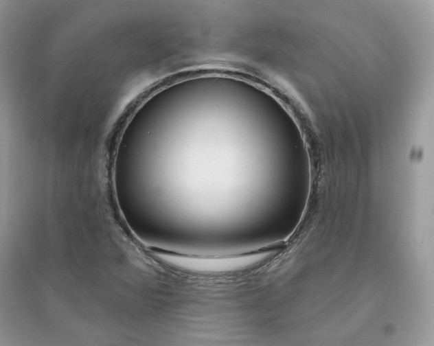 X0000096131360200802011138