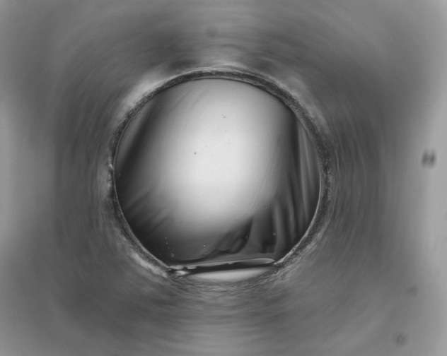 X0000096131363200802011138