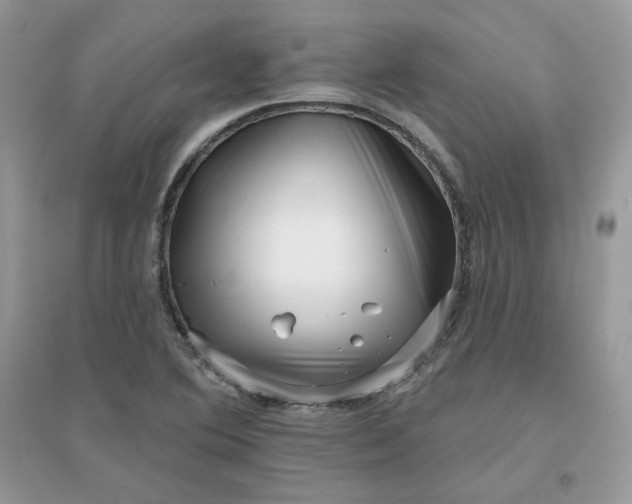X0000096131364200802011138