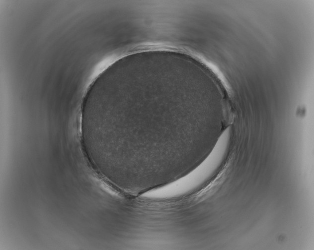 X0000096131365200802011138