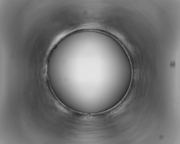 X0000096131366200802011138