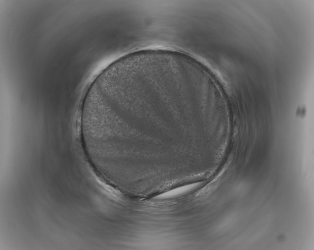 X0000096131367200802011138