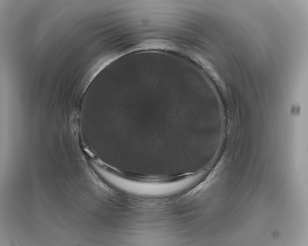 X0000096131369200802011138
