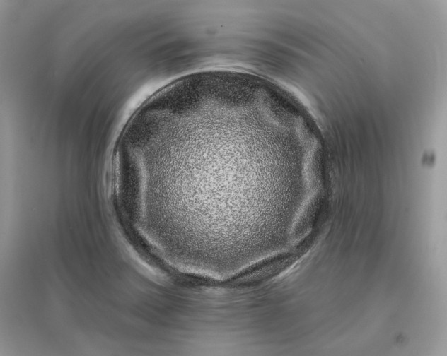 X0000096131371200802011138