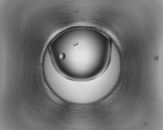 X0000096131372200802011138