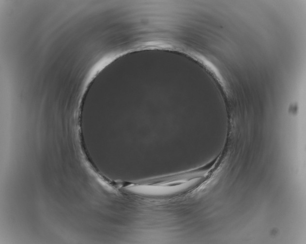 X0000096131373200802011138