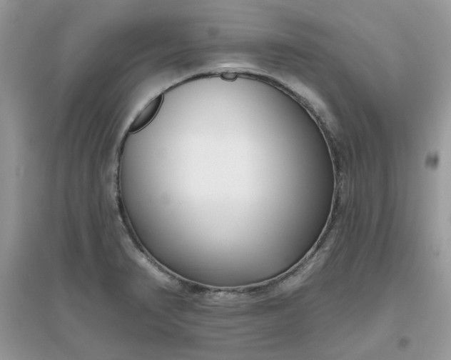 X0000096131374200802011138