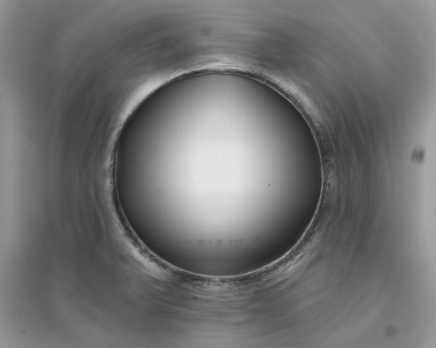 X0000096131375200802011138