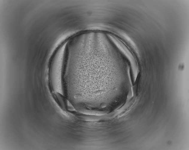 X0000096131376200802011138