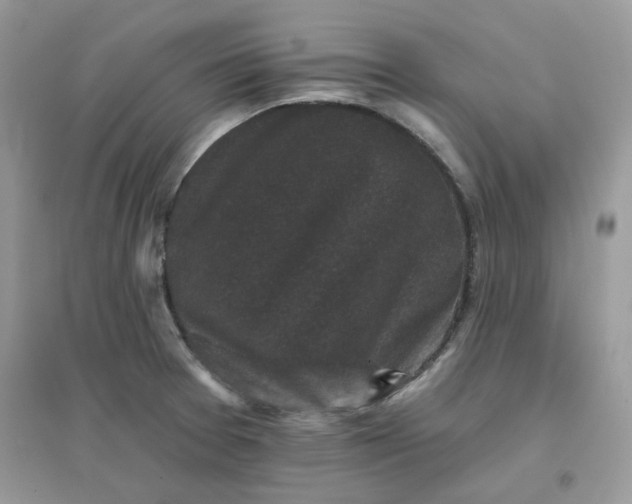 X0000096131377200802011138