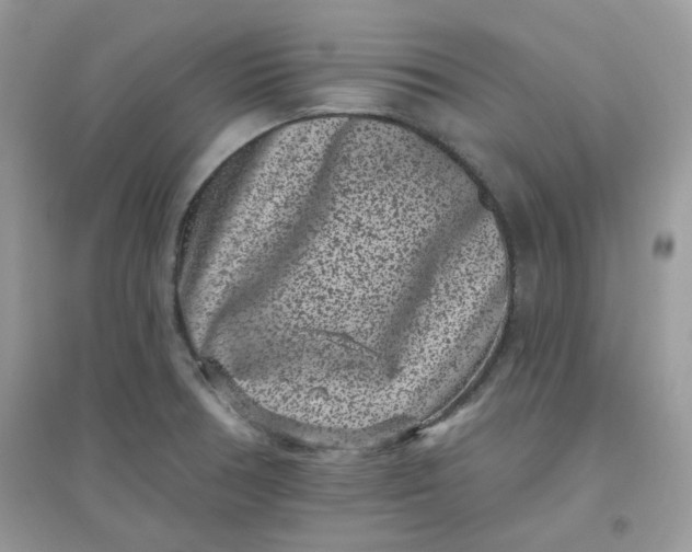 X0000096131378200802011138