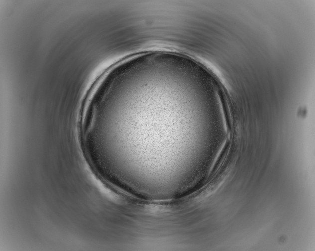 X0000096131379200802011138