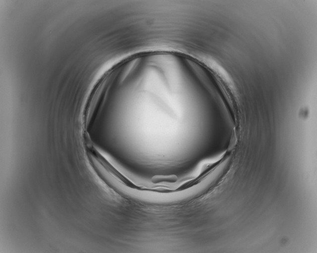 X0000096131380200802011138