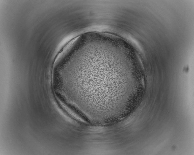 X0000096131382200802011137