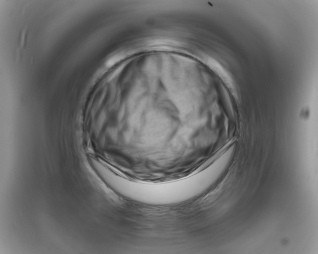 X0000096131384200802011137