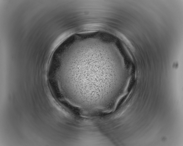 X0000096131386200802011137